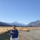 럭키모텔 | 디 허미티지 호텔 마운트 쿡 (The Hermitage Hotel Mt Cook) 숙박 후기, 이용 팁, 객실 타입 고르는 법
