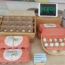 통일청란 이미지