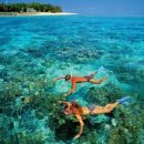 다우 농장 이미지