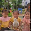 봄빛어린이집 이미지