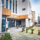 코코넛제주 이미지