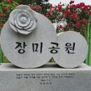 경남창원장미축제 이미지