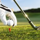 BEST 스크린골프 이미지