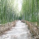 남가람문화거리 공중화장실 이미지