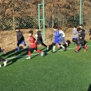 용인대 비전 태권도장 이미지
