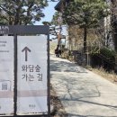 제8구경길 새이령 가는길 | 🌸 화담숲 벚꽃 실시간 후기 모노레일 타고 나뭇가지 구경한 후기 (4월8일) 🌸