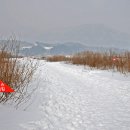 해동와송 네이버블로그