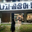 진배기 아나고 곰장어 이미지