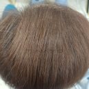 티나모 호남지사 이미지