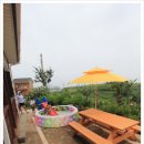 섬초롱민박 이미지