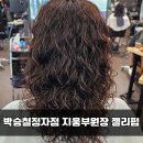 박승철헤어 정자점 지웅부원장 인생 젤리펌 후기