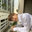 본 스토리 이미지