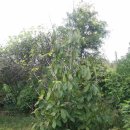 포포농장 이미지