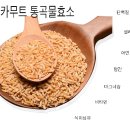 혈당 관리와 면역력증강.그리고 노화를 늦추는 카무트 효소, 효과 알아보기 이미지