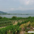 월촌농장 이미지