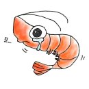 예지약국 | 먹는 치질약 치센 추천 하지마 이거 이젠 나한테는 무용지물 [동탄 예지항외과 치핵수술후기]