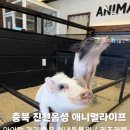 (주)푸드라이프 | 진천 음성 실내동물원 애니멀라이프 아이랑 가기 좋은 키즈카페