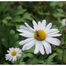 시월곳간 이미지