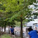 대양공원 이미지