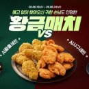 BBQ중계