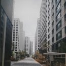 수원-1668 이미지