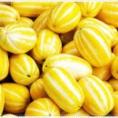 연세탑재활의학과의원 이미지