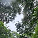 하늘정원1 이미지