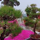 라성관광농원 이미지