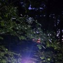 그대들이 최고의 가치다_26년 6월 6일 무박_지리산서부능선 이미지
