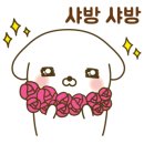 일러스트&모션 이모티콘 이미지