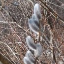 입곡문화공원 이미지