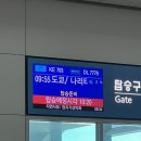 정에프앤비 | 2026.02 도쿄