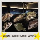 유일실내낚시터 | 🎣김포 실내 낚시터 어디 갈지 고민된다면?ㅣ제이앤디 실내 바다 낚시터 김포 본점 후기ㅣ돗돔 5...