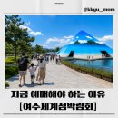 시청삼거리/ 교통섬2 | 2026 여수세계섬박람회 입장권 할인 미리 준비하세요 기간 볼거리 주차 총정리