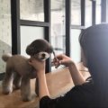 멍미 대구대곡역점 이미지