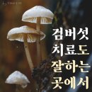 화천연세의원 이미지
