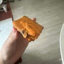 대전 빵지순례 콜드버터베이크샵 대흥본점 황치즈 소금빵 후기