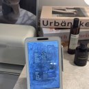 네일레브문 이미지