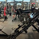 와우휘트니스 이미지