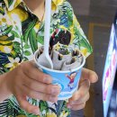 베스트마트 | [푸꾸옥 Day-1] 메오키친, 킹콩마트, 소나시야시장, 해산물식당, 베스트웨스턴 폼파티