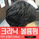 헤어머리꾼 이미지