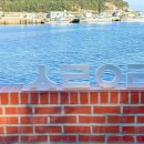 시랑이랑 이미지