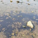 추평농장 이미지