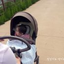 신정호길 이미지