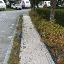 한국 어린이 놀이시설 안전관리 | [직접후기] 한려해상국립공원 거제 학동 야영장 부대시설 총정리