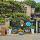 용인 에버랜드 숙소 에버라스트하우스 독채펜션 내돈내산