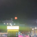 빛고을음악회 | 2025년 문화예술관람 총결산 4