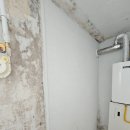 양주자이2단지 | 양주 탄성코트 자이 2단지 다용도실 곰팡이 제거 페인트 후기