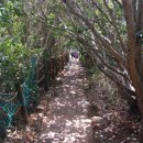 바다 어울림 이미지