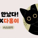 다홍 이미지